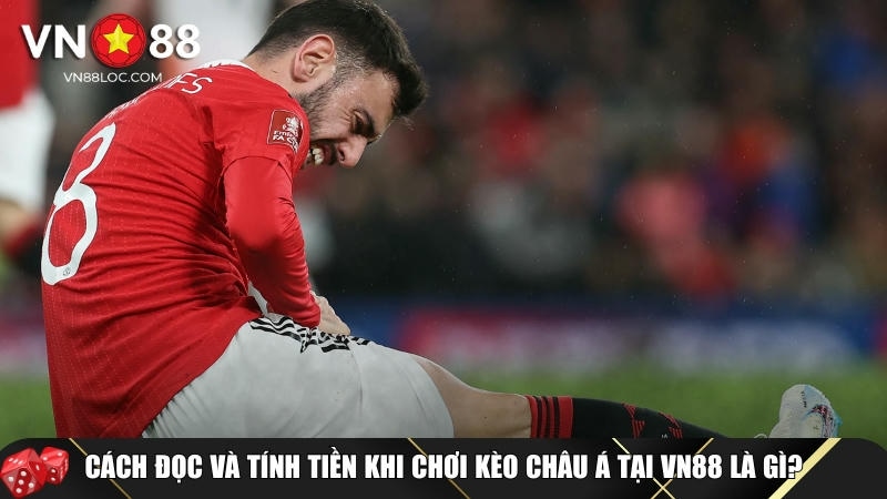 Cách đọc và tính tiền khi chơi kèo châu Á VN88