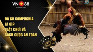 Đá Gà Campuchia Là Gì? Luật Chơi Và Cách Cược An Toàn Tại VN88