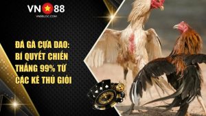 Đá Gà Cựa Dao VN88: Bí Quyết Chiến Thắng 99% Từ Các Kê Thủ Giỏi