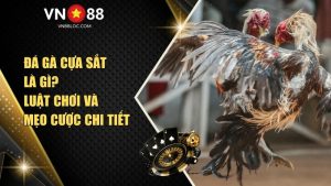 Đá Gà Cựa Sắt Là Gì? Luật Chơi Và Mẹo Cược Chi Tiết Tại VN88