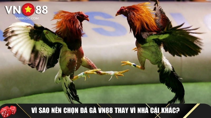 Những lợi ích đẳng cấp chỉ có khi lựa chọn chơi tại VN88
