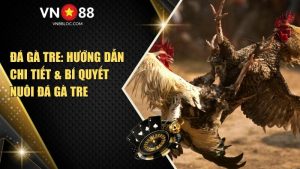 Đá Gà Tre: Hướng Dẫn Chi Tiết & Bí Quyết Nuôi Đá Gà Tre